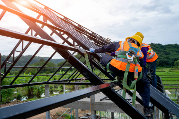 Best Metal Roofing Contractor  in Hollis, OK