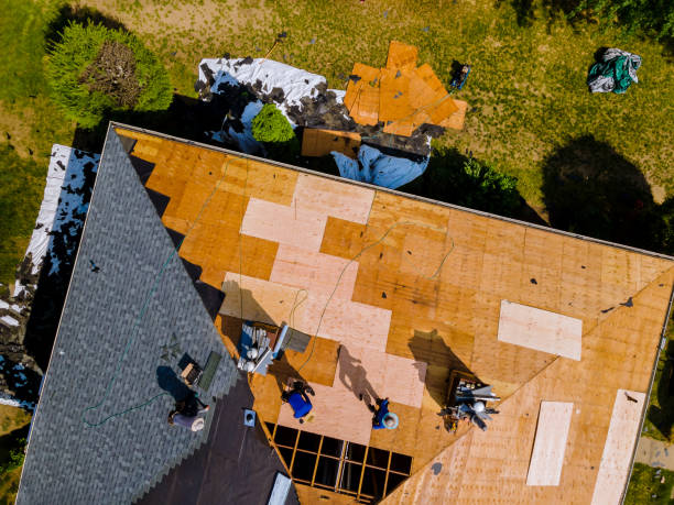 Best Best Roofing Contractors  in Hollis, OK